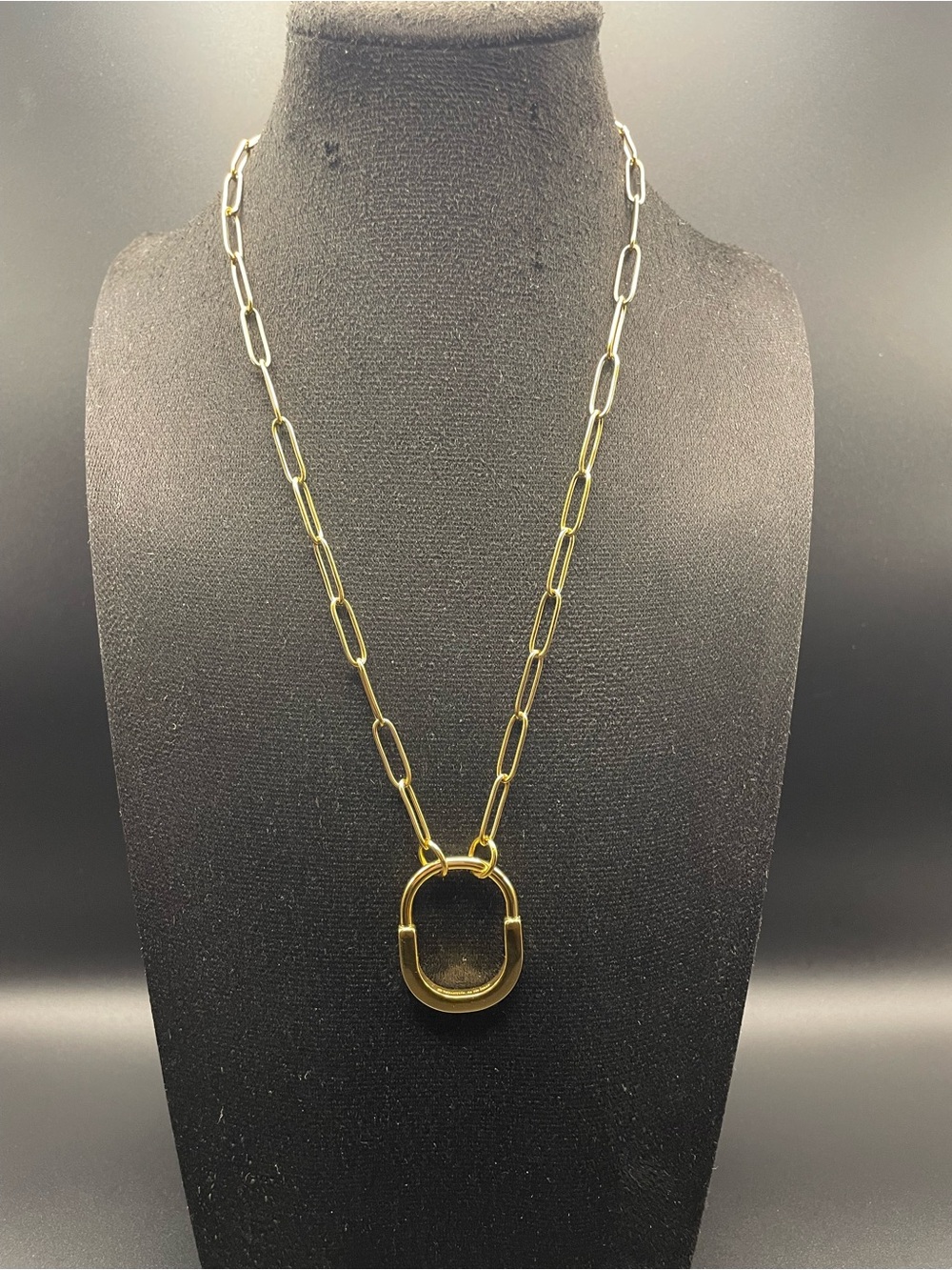 Gold Plated Chain Necklace with Oval-Carabiner Pendant